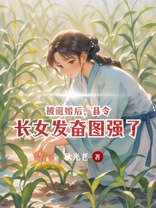 女县令 小说