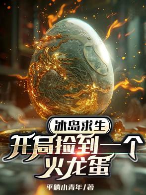 冰岛求生作文