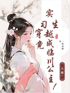 穿越大唐做县令小说