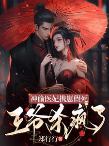 神偷医妃全文免费阅读