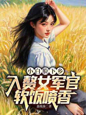 小说小白脸
