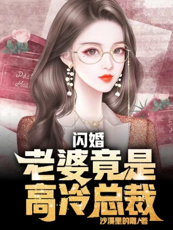 閃婚老公是總裁1