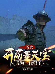 综武:开局董天宝,成为一代狠王下载