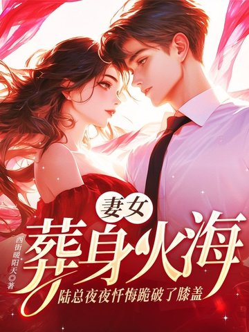 陆总4697