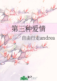 第三种爱情
