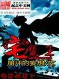 宅魔王小说