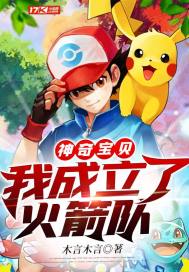 宝可梦：我成立了火箭队