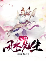 无敌风水先生
