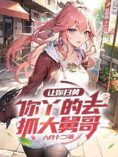 让你扫黄,你丫的去抓大舅哥!