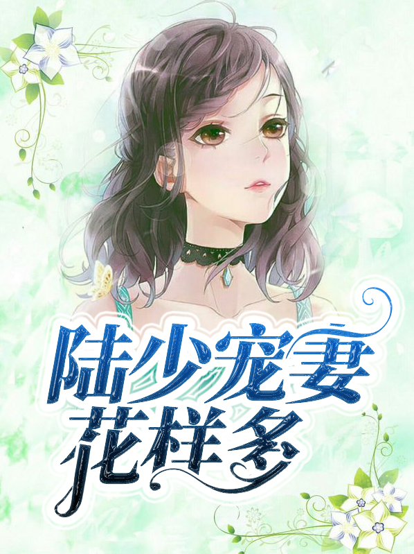 陆少宠妻如命免费阅读