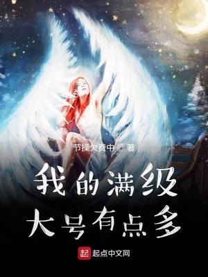 我满级大号有点多下载