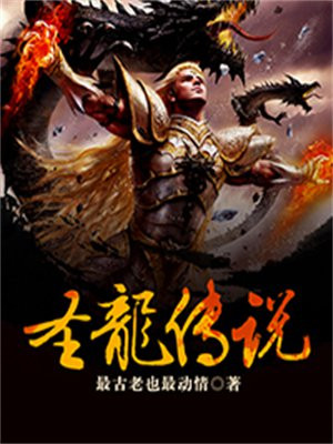 光暗圣龙传