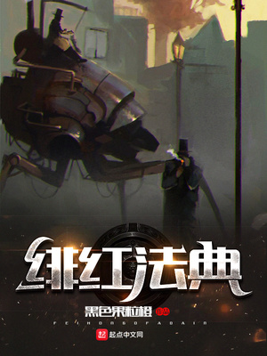 绯红法典 小说