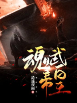 魂武帝皇 小说