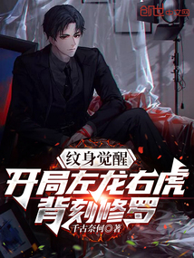 神纹觉醒:开局左龙右虎背刻修罗v