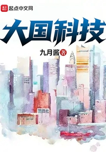 大国科技从山寨系统