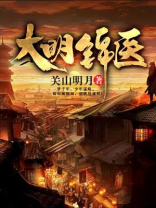 大明锦医卫