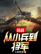 抗战从小兵到将军免费阅读小说