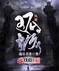 风雨孤城有声小说