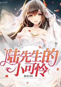 沈先生的小可怜一纸