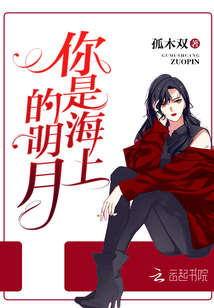 你是海上的明月笔趣阁