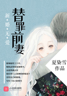 新婚无爱,替罪前妻内容