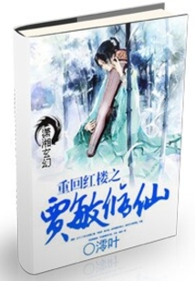 重回红楼之贾敏修仙