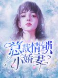 总裁情锁小娇妻
