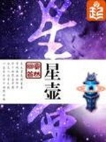吴红星壶