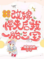 穿越九零改嫁悍夫后我一胎三宝网盘