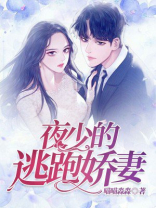 夜少的逃婚新妻