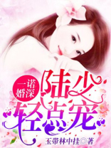 一诺婚深:陆少,轻点宠免费阅读全文