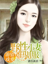 野性难驯小贼妃