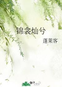 锦衾灿兮 小说