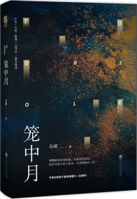 笼中月小说