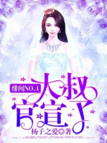 《绯闻》小说
