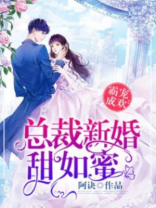 总裁新婚甜蜜蜜免费阅读小说