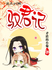 驭君记之倾世神偷