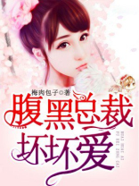 腹黑总裁坏坏爱 小说免费阅读