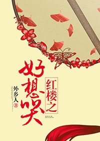 红楼之好想哭