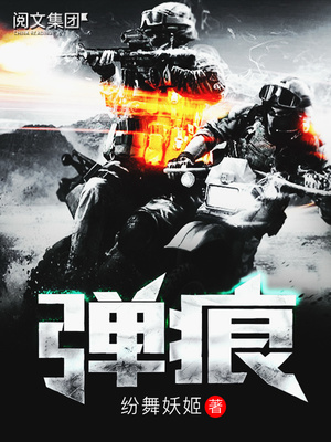 弹痕TXT小说免费下载