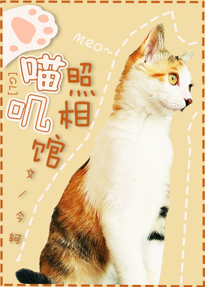 喵叽照相馆好看吗