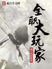 全职玩家第二季