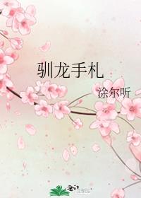 驯龙手札