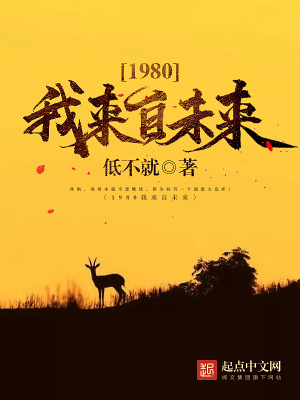 1980我来自未来小说
