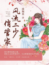 风流小二写的书