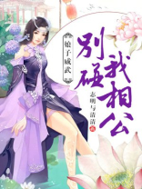 娘子别打我