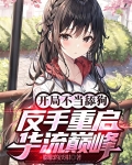 开局不当舔狗，反手重启华流巅峰
