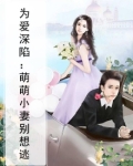 为爱而婚呆萌小妻甜蜜宠