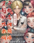穿越从欢乐颂开始走向巅峰